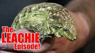 The LEACHIE Episode [upl. by Anatole]