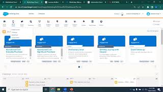 Salesforce Marketing Cloud Product Demo [upl. by Fahland]