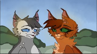 🐈‍⬛Warrior Cat Vines  memes 🐈‍⬛ Silly Iittle kitty cats [upl. by Nagem211]