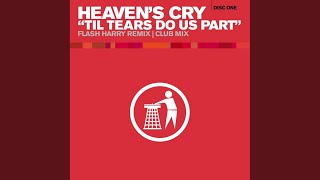 Til Tears Do Us Part Flash Harry Remix [upl. by Cummine]