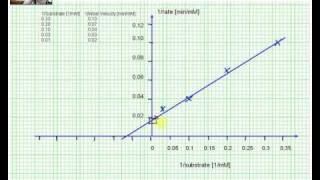 Lineweaver Burk plot data analysis [upl. by Nirej]