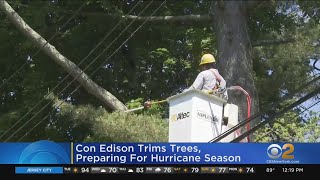 Con Ed trims trees ahead of hurricane season [upl. by Constance]