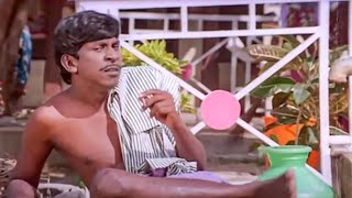 இந்த நாய்க்கு வந்த வாழ்வா பாத்தியாkaalammaaripochu vadivelu tamilcomedy tamilshorts [upl. by Waldron]