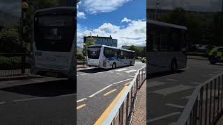 Lothian Buses amp Prentice Coaches in action at Edinburgh Royal Infirmary June 2024 [upl. by Helve588]