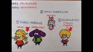 4SINIF FEN BİLİMLERİ BESİNLERİMİZ [upl. by Parnas]