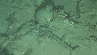 Mystery shipwreck discovered off North Carolina coast [upl. by Annirac488]