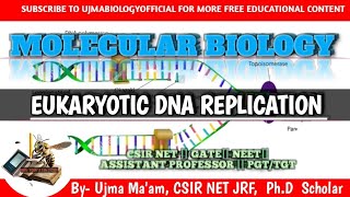 Eukaryotic DNA REPLICATION  Molecular Biology  CSIR NET  GATE  DBT  NEET [upl. by Thordis459]