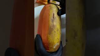 lechosa papaya fruit frutas breakfast ytshorts ytviral youtubeshorts coffee cocina bread [upl. by Perrins]