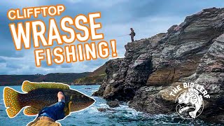 Cliff Edge WRASSE fishing with Creature Baits [upl. by Vinia]