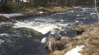 Saariselkä Laaniojan kevättulva Hammastunturin erämaan laidalla [upl. by Ecinreb]