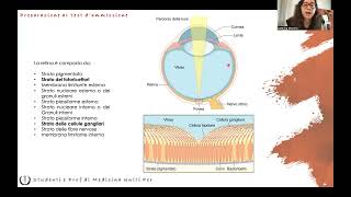 Anatomia e Fisiologia  Occhio [upl. by Joelie]