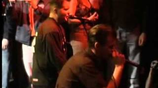 Dropkick Murphys  Barroom Hero  Live [upl. by Ennovyhc]