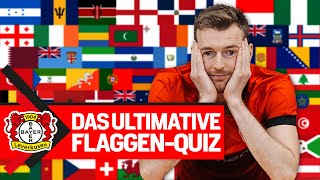 Kennt ein BundesligaTorwart wirklich alle Flaggen der Welt  🇿🇦🇰🇮🇸🇪 Lukas Hradecky im FahnenQUIZ [upl. by Llemrej896]