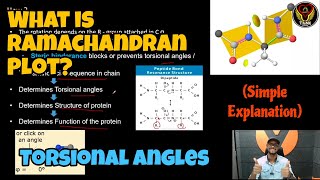 What is the Torsional Angle  Ramachandran Plot Overview  Tamil  Proteins  ThiNK Biology [upl. by Bronk376]