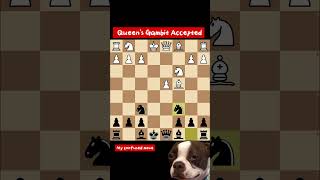 Queens Gambit AcceptedCheckmate in 13 movesFastest checkmate in chess [upl. by Josepha]