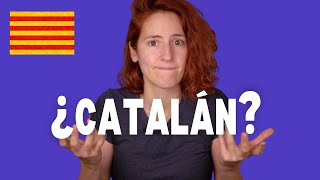 ¿Por qué NO GUSTA el CATALÁN ¿Por qué HAY tiene una Y [upl. by Mosira]