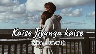 Kaise Jiyunga kaise bata de mujhko tere binaa ❤️‍🩹 Lofi song lyrics [upl. by Heim]