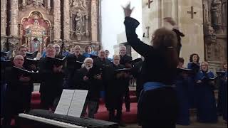 El coro ZARAUTZ ABESBATZA nos deleita con sus voces en la iglesia San Martín de Cigüenza [upl. by Ennairrek]