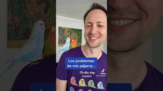 Los problemas de mis pájaros… [upl. by Digirb]