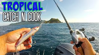 Remote Island Catch amp Cook  Best Fish of My Life [upl. by Adnilim]