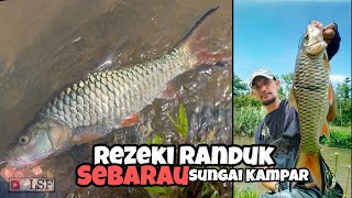 Kasting Ikan Sebarau Sungai Kampar Rezeki Saiz PADU [upl. by Ennaer397]