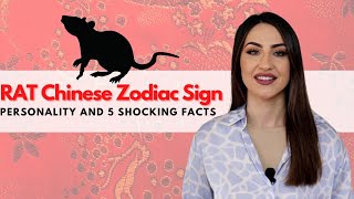 RAT Chinese Zodiac  Everything You Need To Know [upl. by Dawes]