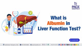 Albumin in LFT Test  What is Albumin in Liver Function Test  lft [upl. by Hilda559]