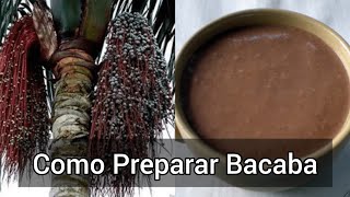 Como Preparar Bacaba [upl. by Bloomer]