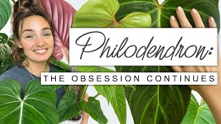 Sorry If You Buy More Plants After This 😬 PHILODENDRON Collection Tour Growth Updates  FUN FACTS 🌱 [upl. by Griseldis121]