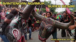 Bantengan Brutal ngamuk Rojo Maheso Syuro terbaru [upl. by Anaigroeg511]