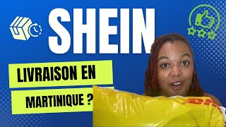 SHEIN LIVRE EN MARTINIQUE  Frais de douane  durée [upl. by Ladnor203]