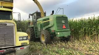 NEW HOLLAND T7270 I 8 plowhshare I PLOWING [upl. by Romie]