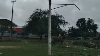 NÁUTICOPE 0X1 RIVERPI AO VIVO COPA DO NORDESTE 2024 [upl. by Otho]