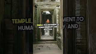 Angkor Wat a Marvel explore travel cambodia angkorwat asia architecture shorts [upl. by Leroy]