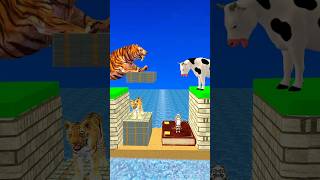 New Money vs Knowledge With Cartoon Cow vs Tiger What Do Choose Shorts Cartoon Viral [upl. by Aynat909]