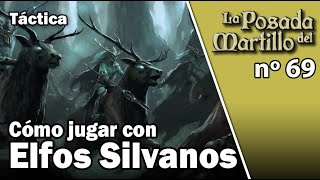 Cómo jugar con ELFOS SILVANOS [upl. by Aliuqet]