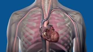 How do different cardiac rhythm devices work [upl. by Auburta]