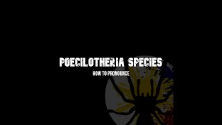 How to Pronounce Poecilotheria Fasciata [upl. by Narag]