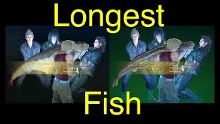 Final Fantasy XV Longest Fish King Catfish and Giant Catfish FFXV [upl. by Cadmarr233]