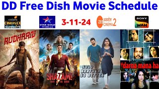 DD Free Dish Hindi Movie Schedule 3 November 2024  DD Free Dish New Update 3 November 2024 [upl. by Anavrin802]