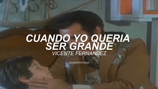 Cuando Yo Quería Ser Grande  Vicente Fernandez Letra Vídeo Con Letra [upl. by Ebeohp]