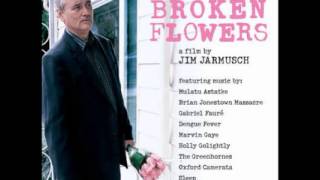 Broken Flowers OST  05  Yekermo Sew [upl. by Searby375]