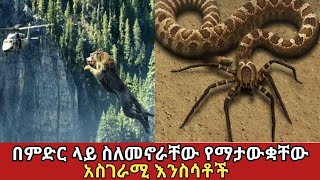 በምድራችን ላይ ያሉ ነገር ግን ሰዎች የማያውቋቸው እንስሳቶች amaizing animalszena Addis ethiopia አስገራሚ [upl. by Mirak935]