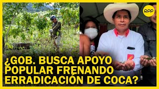 Gobierno de Castillo paraliza la erradicación de hoja de coca ¿objetivo político ResumenADN [upl. by Bee]