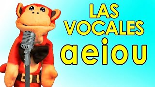 REUPLOAD La Canción de las Vocales TODAS LAS LETRAS A E I O U  Show del Mono Sílabo leyendojuntos [upl. by Anaigroeg311]