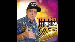 TONINHO FERREIRA  CD 2022  COMPLETO [upl. by Elbart557]