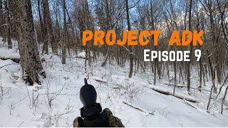 Three Deer Tracked To Their Beds  Adirondack Deer Tracking on Snow  Project ADK  Episode 9 [upl. by Eirojam]