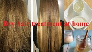 Dry hair treatment at home  NATURAL HAIR TREATMENT  for fizzy amp rough hairs [upl. by Deering]