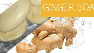 DIY NATURAL GINGER SOAP [upl. by Kenwrick]