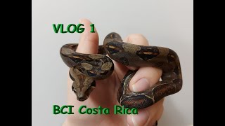 VLog 1  Einstieg in die Saison und BCI Costa Rica [upl. by Ardnalak996]